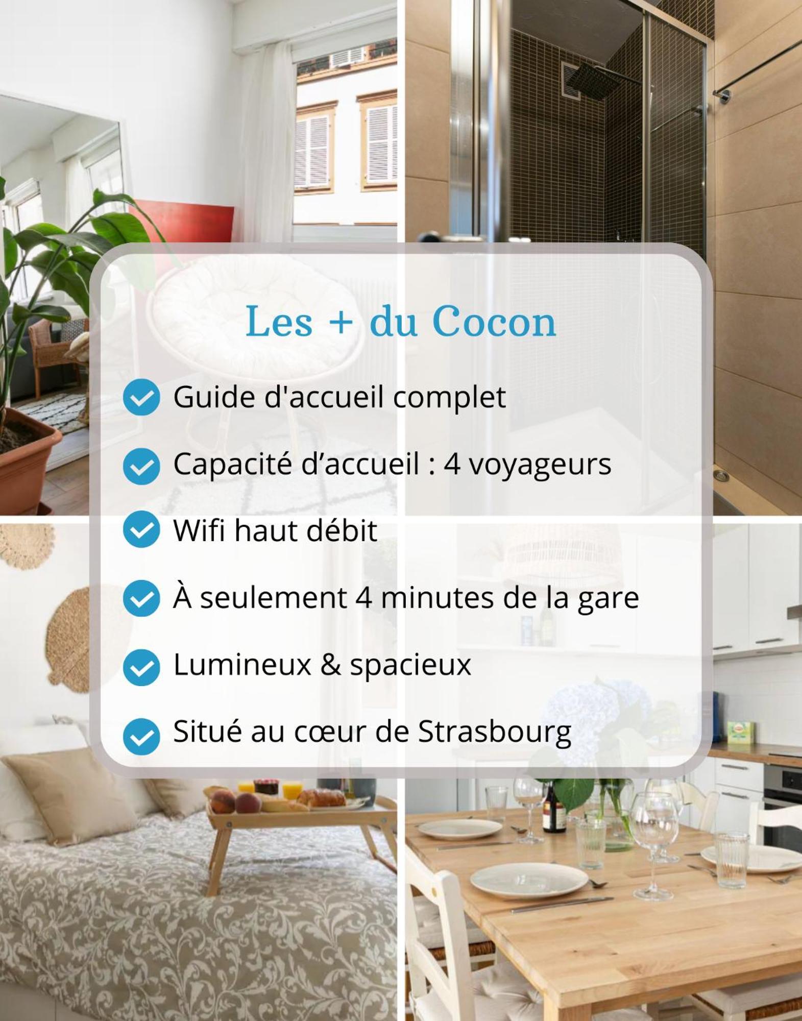 Le Cocon - Proche Gare - Lumineux & Centre Ville - Commerces A Proximite Strasbourg Luaran gambar